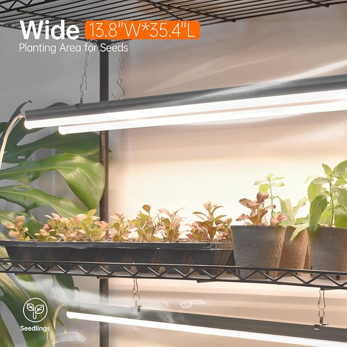 Bstrip Indoor Greenhouse with Grow Light, Indoor Greenhouse Cabinet with 6 Pack 90W Grow Lights with Timer, Mini Green House for Indoor Plant, Seed Starter, Seeding, 35.4"x13.8"x70.8"