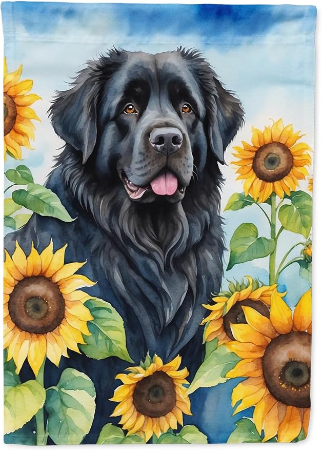 Caroline's Treasures DAC6123CHF Newfoundland in Sunflowers House Flag Large Porch Sleeve Pole Decorative Outside Yard Banner Artwork Wall Hanging, Polyester, House Size, Multicolor