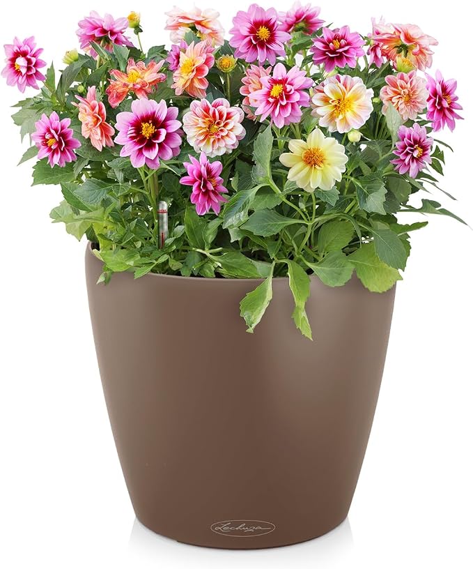 Lechuza Classico Color 28 Nutmeg, Self-Watering Round Planter, D11 H10.2 in