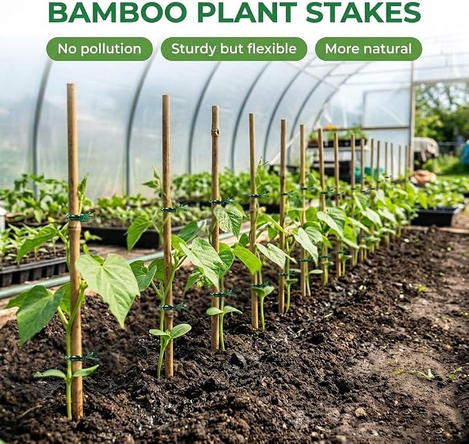 Plant Stakes Natural Bamboo Sticks - 25 Pcs Bamboo Garden Stakes for Plants 18 Inches Plant Support Sticks with Twist Ties for Tomatoes Beans Orchid Flowers Indoor Outdoor Potted Climbing Plants