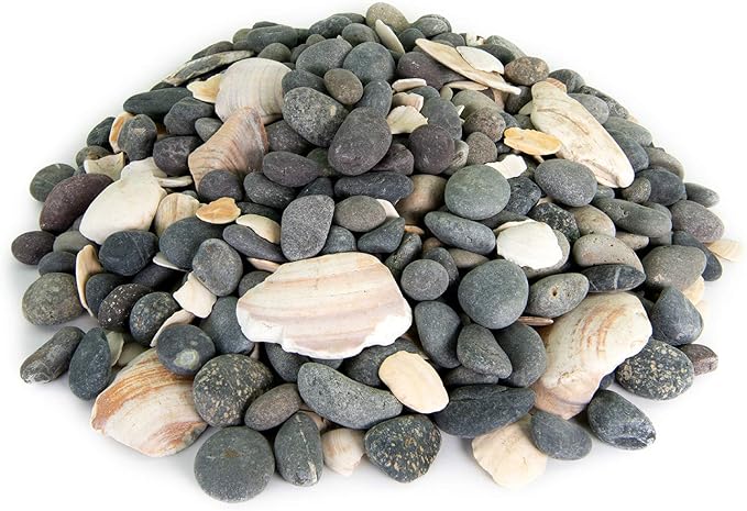 Southwest Boulder & Stone Mexican Beach Pebbles | 20 Pounds of Smooth Unpolished Stones | Hand-Picked, Premium Pebbles for Garden and Landscape Design | San Quintín, 5/8 Inch - 7/8 Inch