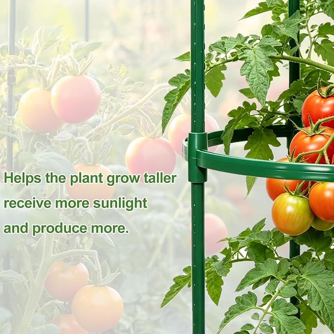 Tomato Cages for Garden&Pots, 6 Pack 50" Plant Support Trellis for Tomatoes, Cucumbers, Beans | Heavy-Duty Steel with Rust-Proof Coating | Garden Stakes for Outdoor Indoor Plants