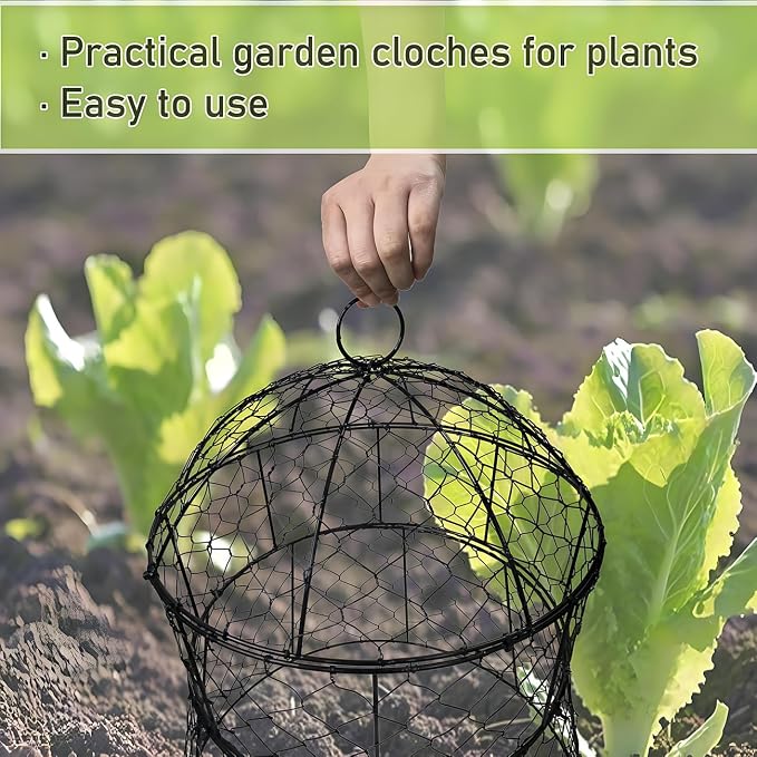 Garden Cloches for Plants 2 Pack Metal Plant Protectors from Animals Chicken Wire Cloche Updated Plant Cages for Outdoor Plants Vegetables Seedlings 13" D x 14" H