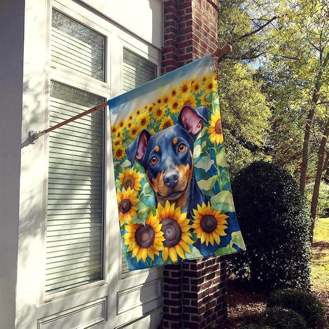 Caroline's Treasures DAC6119CHF Manchester Terrier in Sunflowers House Flag Large Porch Sleeve Pole Decorative Outside Yard Banner Artwork Wall Hanging, Polyester, House Size, Multicolor