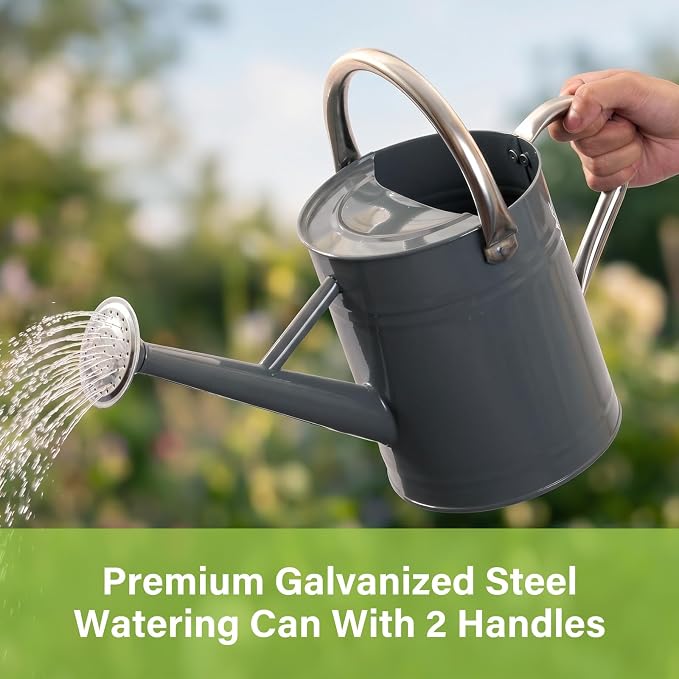 Watering Can for Outdoor&Indoor Plants，1 Gallon Metal Watering Can with with Removable Spout，Galvanized Steel Garden Flower Water Can Plant Watering Pot with 2 Handles,Grey