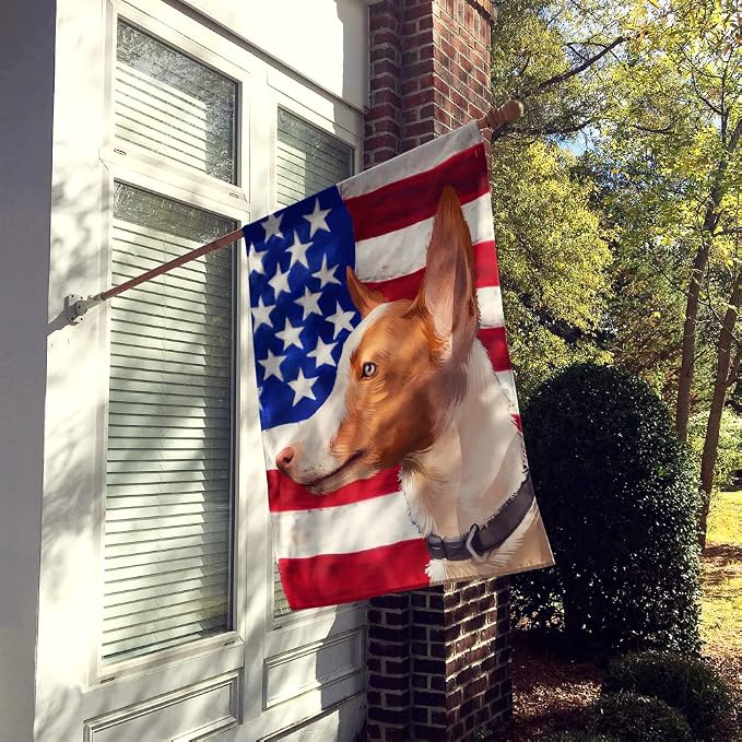 Caroline's Treasures CK6404CHF Andalusian Hound Dog American Flag House Flag Large Porch Sleeve Pole Decorative Outside Yard Banner Artwork Wall Hanging, Polyester, House Size, Multicolor