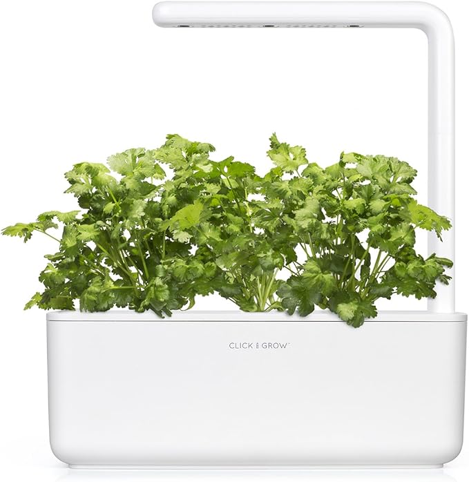 Click and Grow Smart Garden Cilantro/Coriander Plant Pods, 3-Pack