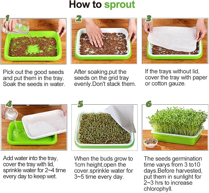 4 Layers Sprout Trays with Extra Strength Plastic Shelf Soil-Free Healthy Wheatgrass Seeds Grower & Storage Trays for Garden Home Office | BPA Free PP Soil-Free Hydroponic Growing & Storage Trays for Mung Beans, Microgreens, Wheatgrass for Home, Indoor...