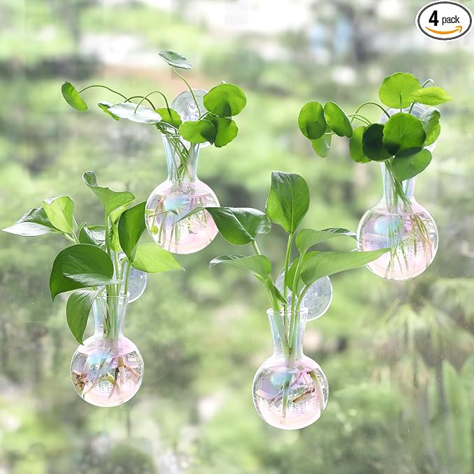 Bunmery 4 pcs Iridescent Window Propagation Stations, Easy to Install Plant Propagation Bulbs with Suckion Cups, No Nails Wall Hanging Planter Propagation Station, Glass Plant Terrarium Vase