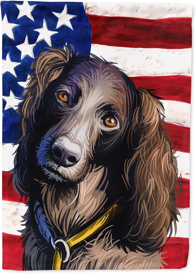 Caroline's Treasures CK6685CHF Saint-Usuge Spaniel Dog American Flag House Flag Large Porch Sleeve Pole Decorative Outside Yard Banner Artwork Wall Hanging, Polyester, House Size, Multicolor