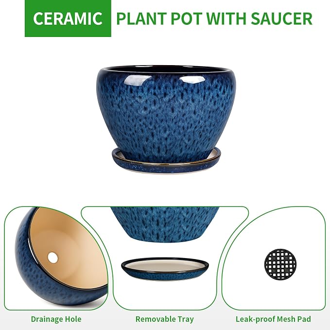 Deep Dream 8 Inch Plant Pots- Ceramic Pots for Plants with Drainage Hole and Saucer, Large Planter Pot for Indoor Plants Outdoor Decor, Blue