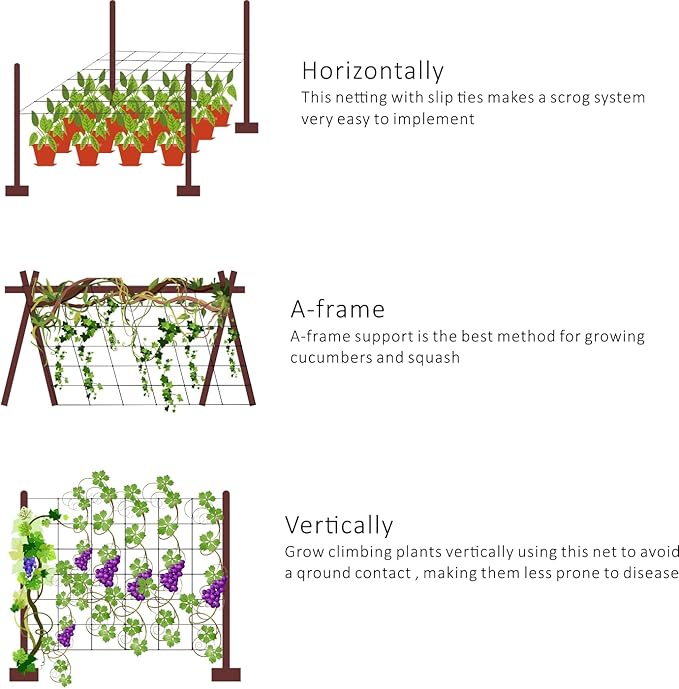 Toolazy Trellis Netting 79" x328' Green - Heavy Duty 6" Mesh Plant Support Net for Climbing Vegetables, Garden Trellis Roll for Tomato Cucumber Pea Bean Vine Grow Tent Scrog Hydroponic Use