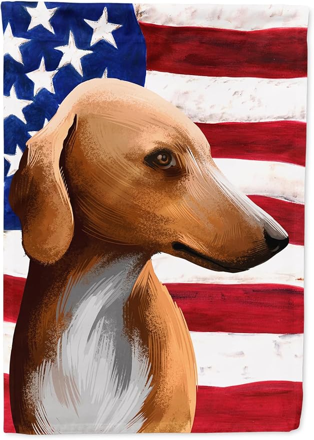 Caroline's Treasures CK6416CHF Azawakh Hound American Flag House Flag Large Porch Sleeve Pole Decorative Outside Yard Banner Artwork Wall Hanging, Polyester, House Size, Multicolor