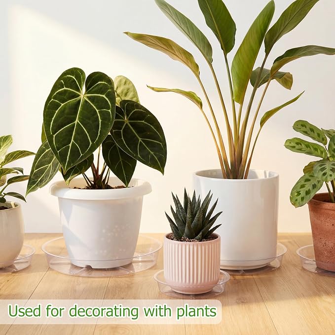 Gejoy 60 Pack Plant Saucers 6inch /8inch /10inch, Thick Durable Clear Plastic Plant Trays for Pots, Heavy Duty Drip Trays Water Catcher Flower Pot Saucers for Indoor Outdoor, Prevent Water Overflow