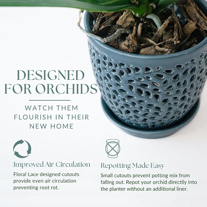 Elegant Orchid Pot with Holes, Large 6.5 inch Premium Porcelain Ceramic Orchid Pot for Repotting, Durable Ceramic Planter with Removable Saucer for Easy Drain, Planter Gifts for Moms