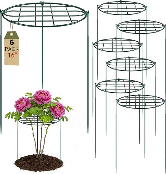 6 Pack 16 x 24 inch Peony Cages and Supports,Metal Grow Through Plant Supports for Outdoor Plants,Flowers Support Rings Top-Heavy Plant Brace Support Hoop for Vegetables,Rose,Tomato,Orchids