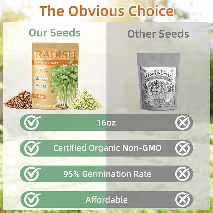 Organic Radish Sprout Seeds (16 oz), Certified Non-GMO, Heirloom Seeds, Premium Radish Sprouting Seeds for Sprouting and Microgreens, High Yield High Germination, Resealable Bag