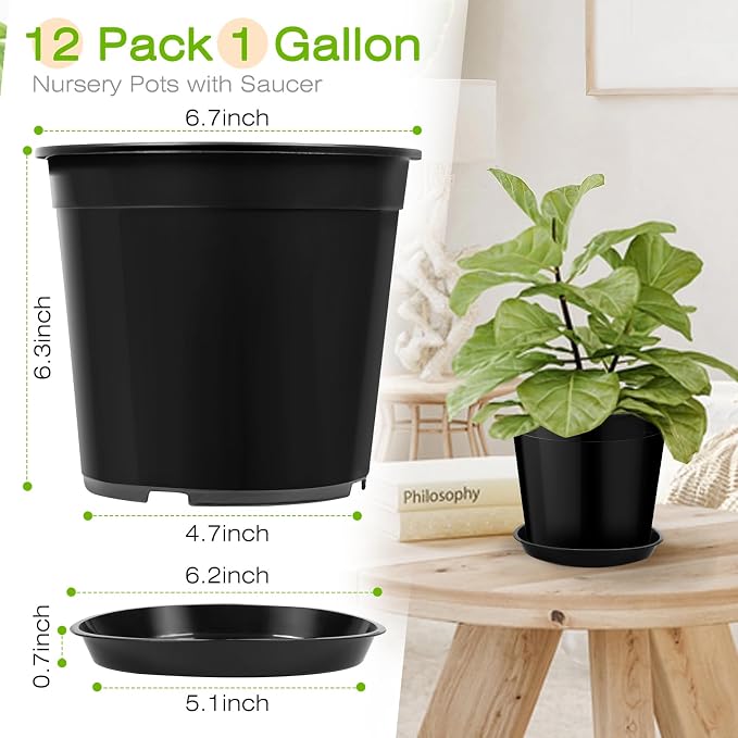 FUIJOL 1 Gallon Plastic Pots with Drip Trays, Sturdy Gallon Plant Pots with Drainage Holes, Large Gallon Pots for Flowers, Ideal for Indoor and Outdoor Use (1Gallon-12PACK)