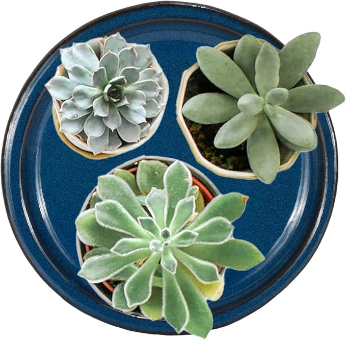 W&W Ceramic Plant Saucer - Plant Trays for Indoor Pots (Blue, 10 inches, 2 Packs)