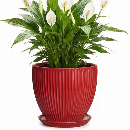 Ceramic Flower Pots 8 Inch, Ceramic Planters for Indoor House Plants, Decorative Plant Pots with Drainage Hole and Saucer, Modern Round Planter, Office Decor, Gifts for Men Women, Red