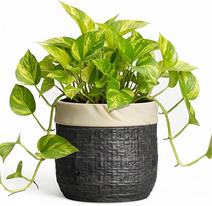 Ceramic Flower Pots - 6 Inch Pots for Plants Indoor Plants, Round Planter with Drainage Hole and Plug, Boho Decorative Plant Pot, House Room Garden Decor, Garden Gift for Women, Black