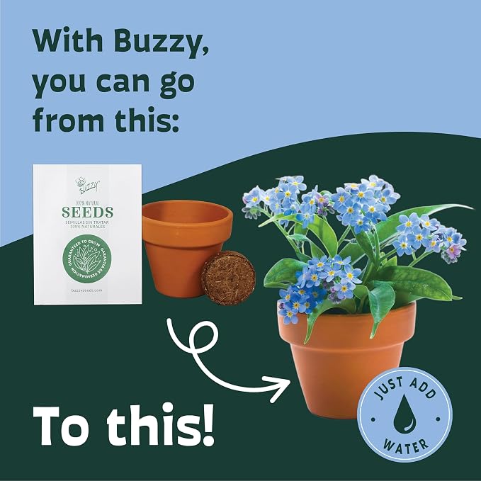 BUZZY Seeds Forget-Me-Not Grow Kit, Bulk 20-Pack - Mini Terracotta Pot Grow Set - Complete Indoor/Outdoor Gardening Kit with Seeds, Coconut Husk Growing Medium & Genuine Pots - 100% Grow Guarantee