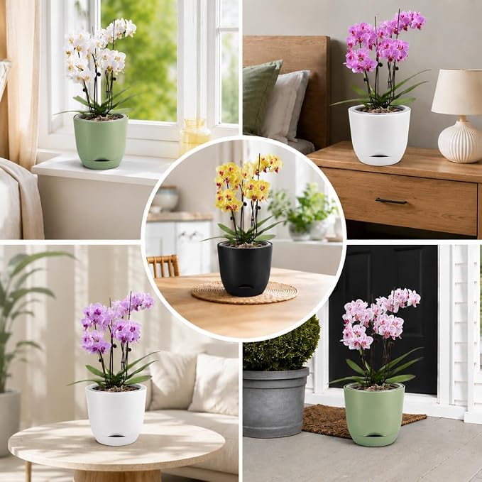 QCQHDU 5.7Inch Orchid Pots with Holes for Repotting, Double-Layer Plastic Self Watering Flower Pots for Indoor Plants with Drainage Holes, Clear Orchid Pot Match Decorative Orchid Container, 1 Pack