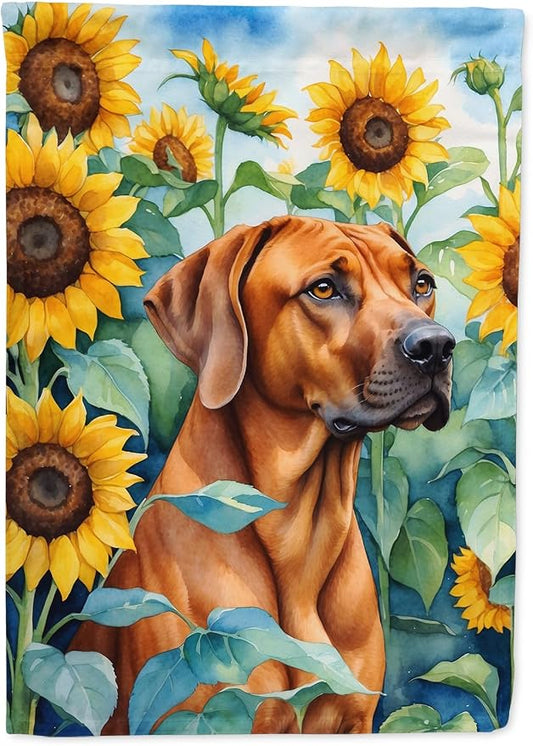 Caroline's Treasures DAC6149CHF Rhodesian Ridgeback in Sunflowers House Flag Large Porch Sleeve Pole Decorative Outside Yard Banner Artwork Wall Hanging, Polyester, House Size, Multicolor