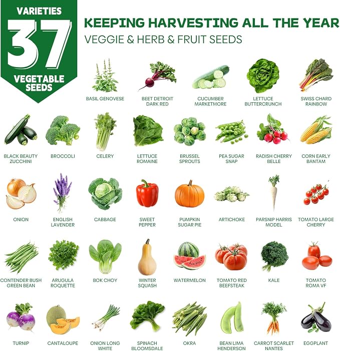Groundio 40,000+ Heirloom Seeds Kit, 37 Vegetable Seeds Individual Pack - Non GMO for Planting Vegetables, Fruit and Herbs, Outdoor Garden Seeds for Indoor & Outdoor Garden Planting