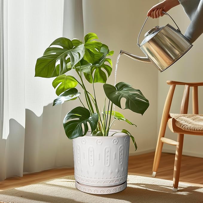 Eightpot Plant Saucer for Indoors - Ceramic Plant Saucer for Outdoors 11.4 Inch Plant Water Catcher Tray Plant Pot Saucer Plant Drip Tray Drainage Large Plant Plates to Catch Water, Cream White