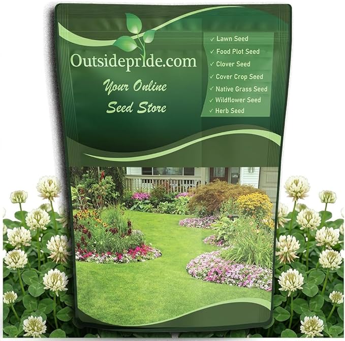 Outsidepride Perennial White Dutch Clover Seed - 5 lbs. Nitrocoated, Inoculated for Lawn Alternative, Erosion Control, Food Plots, Ground Cover, & Pasture Mixtures in USDA Zones 3-10