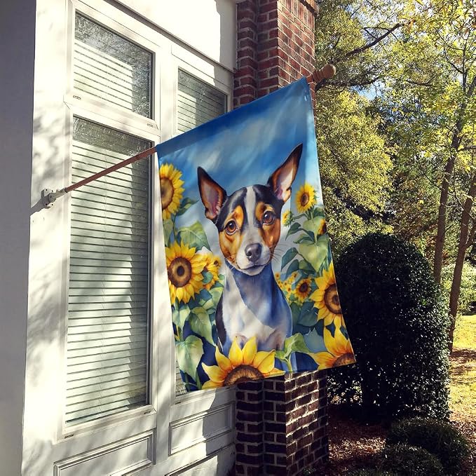 Caroline's Treasures DAC6147CHF Rat Terrier in Sunflowers House Flag Large Porch Sleeve Pole Decorative Outside Yard Banner Artwork Wall Hanging, Polyester, House Size, Multicolor