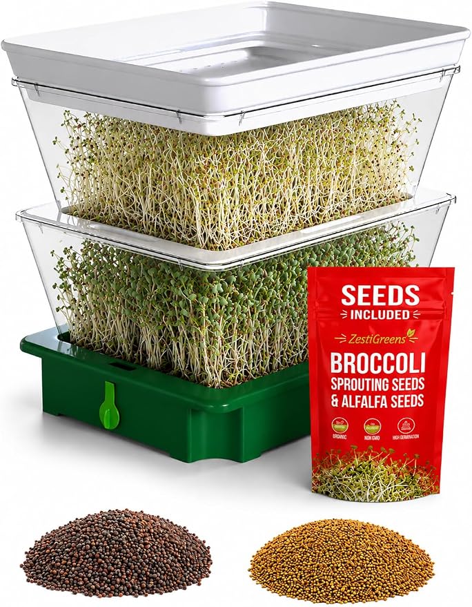 ZESTIGREENS 2-Tier Seed Sprouter Kit with USA-Grown Broccoli & Alfalfa Seeds – Stackable Sprouting Tray with Ventilated Design & Easy Sink-Drain Spout