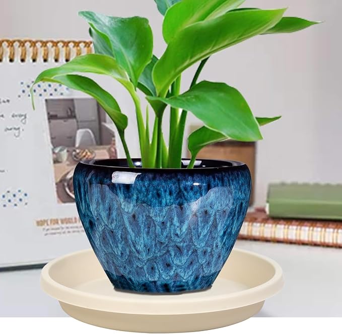 NIMYAU 5 Pack Plant Saucer 6 Inch,8 10 12 14 16 18 20 Inch, Heavy Sturdy Plant Trays for Pots, Plant Water Catcher Tray for Plants, Plastic Plant Saucers for Indoors no Holes