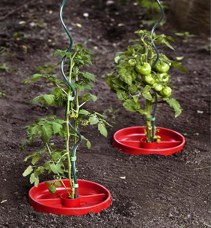 10 Pack Green 59 inch Height Dia 6mm Twisted Tomato Stakes Plant Supports Spiral Tomato Cages,Climbing Plant Stake Tower Plant Supports Twist Tomato Stakes