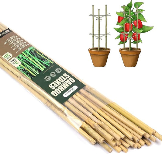 Cambaverd Bamboo Garden Stakes 3 Feet Plant Stakes for Roma Tomatoes Sunflowers Beans Potted and Climbing Plants - Pack of 25 Bamboo Sticks