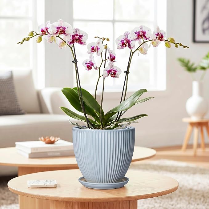 Ceramic Flower Pots, 6 Inch Plant Pot for Indoor Plants, Modern Ceramic Planter with Drainage Hole and Saucer, Small Orchid Pots, Home Decor, Gifts for Plant Lovers Women Men, Light Blue