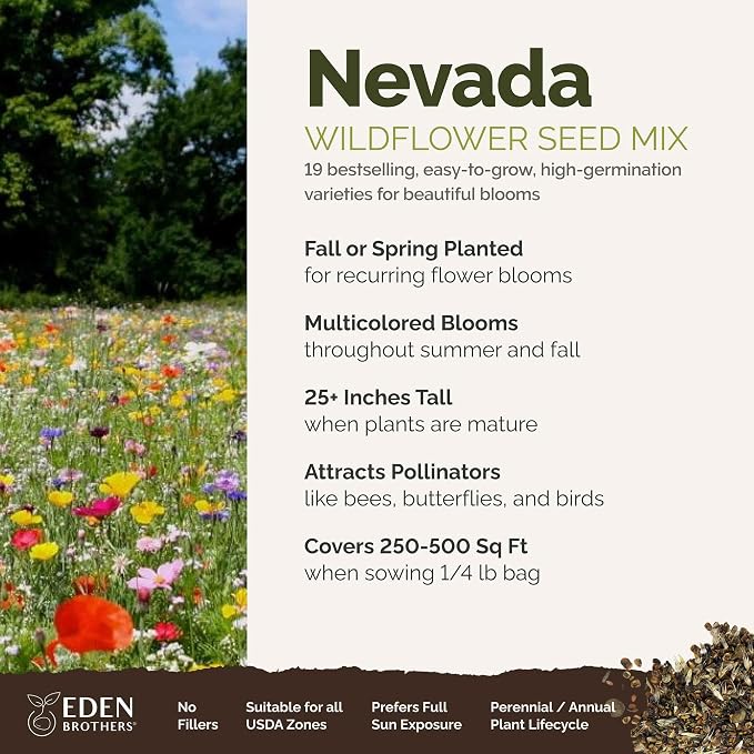 Eden Brothers Nevada Wildflower Mixed Seeds for Planting, 1/4 lb, 120,000+ Seeds with Yarrow, Cosmos | Attracts Pollinators, Plant in Spring or Fall, Zones
