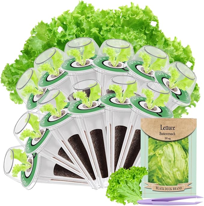 12-Pod Lettuce Seed Pod Kit for AeroGarden, iDoo, Ahopegarden Hydroponic Growing System, 350mg Seeds