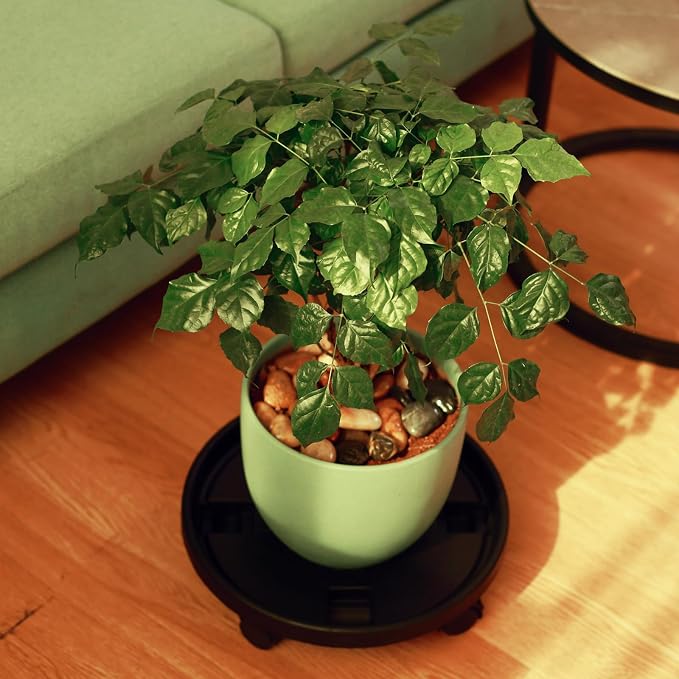 5 Pakcs Large Plant Caddy with Wheels 15.8" Rolling Plant Stands Heavy-duty Plastic Plant Roller Base Pot Movers Plant Saucer on Wheels Indoor Outdoor Plant Dolly with Caster Tray Coaster Black
