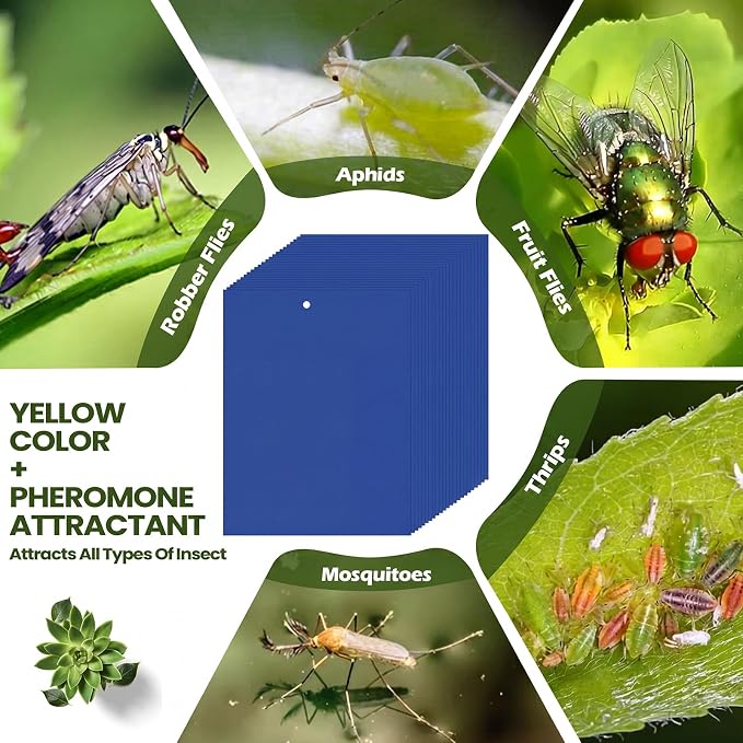 Qualirey 100 Pcs Blue Sticky Traps for Gnats, 6 x 8 Inch Dual Sided Gnat Traps for Indoor Outdoor Plants, Fungus Gnat Sticky Cards for Fruit Flies Whiteflies Thrips, Twist Ties and Plastic Holders