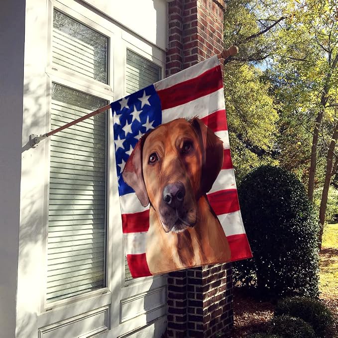 Caroline's Treasures CK6463CHF Broholmer Dog American Flag House Flag Large Porch Sleeve Pole Decorative Outside Yard Banner Artwork Wall Hanging, Polyester, House Size, Multicolor