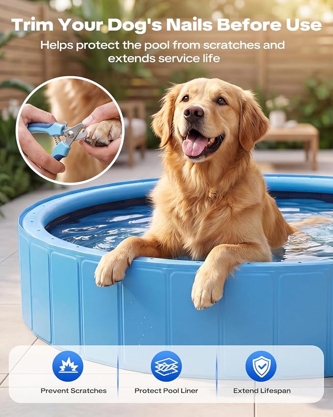 Raxurt 63" Kiddie Pool with Sprinkler, Foldable Dog Pool for Large Dogs, Non-Slip Splash Pool for Kids, Portable Pet Bathing Tub for Backyard Summer Water Play