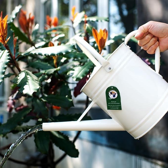 1 Gallon Matte Cream Metal Watering Can, Removable Spout | Cream White Galvanized Plant Water Can for Indoor and Outdoor Use