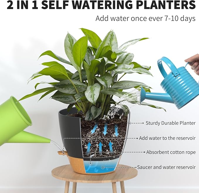 12/10/9 Inch Self Watering Pots for Indoor Outdoor Plants, Set of 3 Large Plastic Planters with Visual Water Window, Drainage Holes & Watering Lip, Modern Decorative Flower Pots (Black)