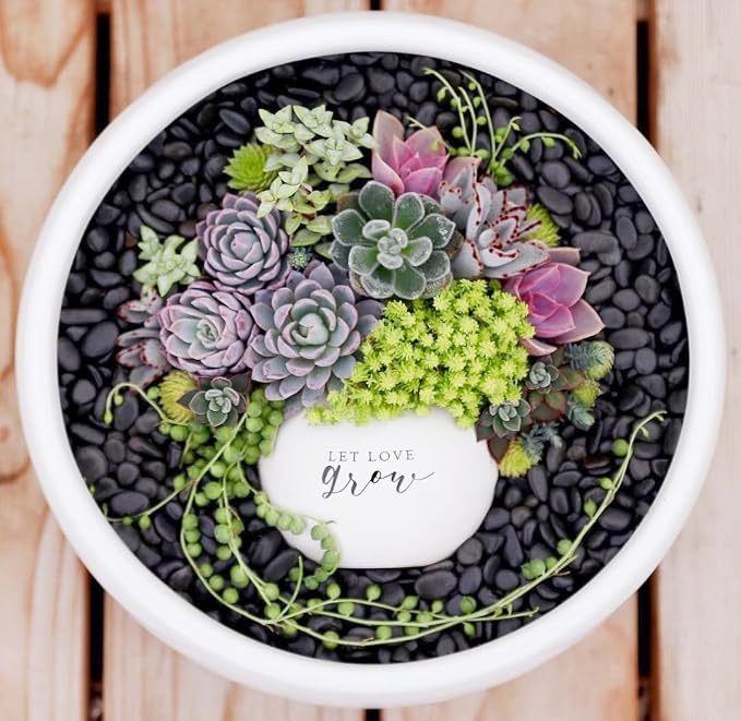 10LB Black Pebbles for Indoor Plants, Vases, Succulent, 3/8 Inch Small Black Rocks for Plants, Polished & Decorative