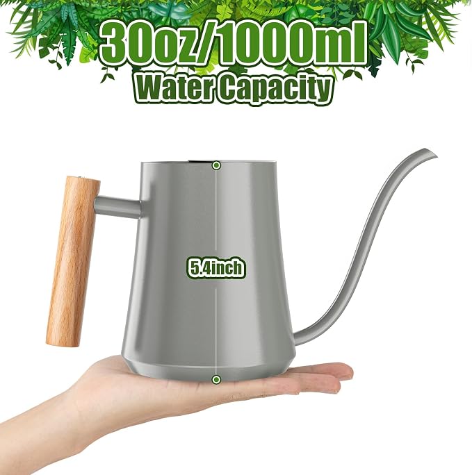 Green Moon 1L/35oz Metal Watering Can Indoor with Long Spout, Gray | Metal Stainless Steel Watering Can with Wood Handle for Indoor Plants, House Bonsai, Succulents, and Outdoor Garden Flowers