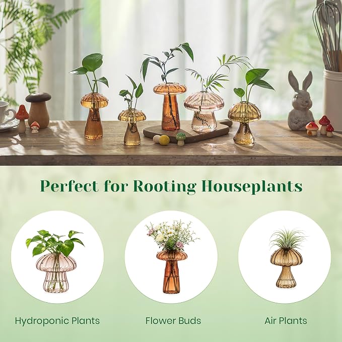 Hewory Glass Mushroom Propagation Stations: Set of 5 Unique Propagation Jars Glass Planter for Indoor Plants Home Decor - Brown Mushroom Vase Christmas Birthday Gifts for Plant Lovers Women Girls