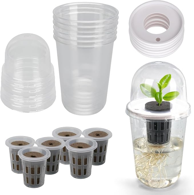 6 Pack Clear Hydroponic Nursery Kit, Transparent Plant Starter Hydroponic Pots for Seed Starting, Hydroponic System for Nursery