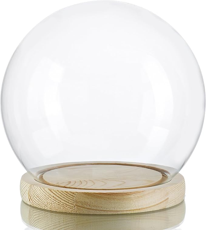 ZEERSHEE Round Globe Cloche Glass Dome with Wooden Base, 6" Glass Display Dome for Succulents, Plants & Keepsakes, Decorative Sphere Cloche Bell Jar for Collectibles & Home Decor
